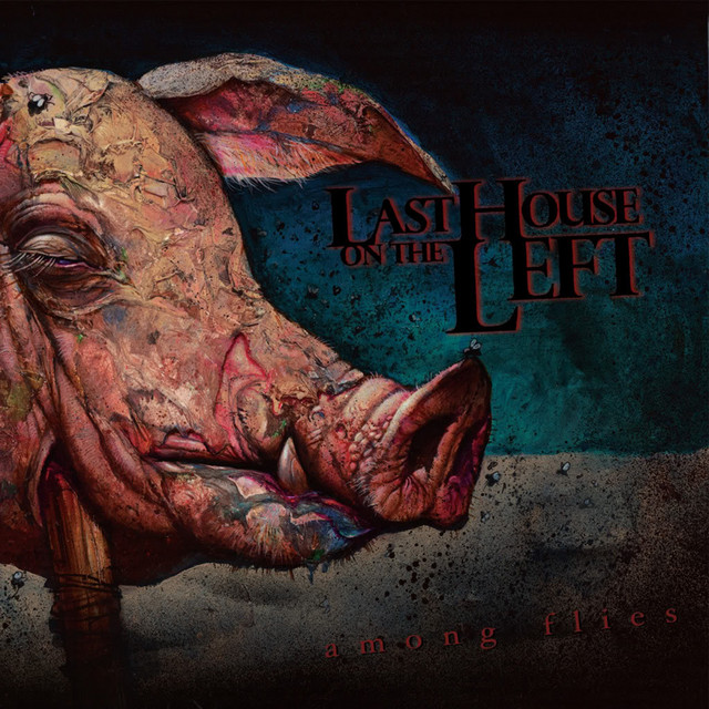 Among Flies album cover