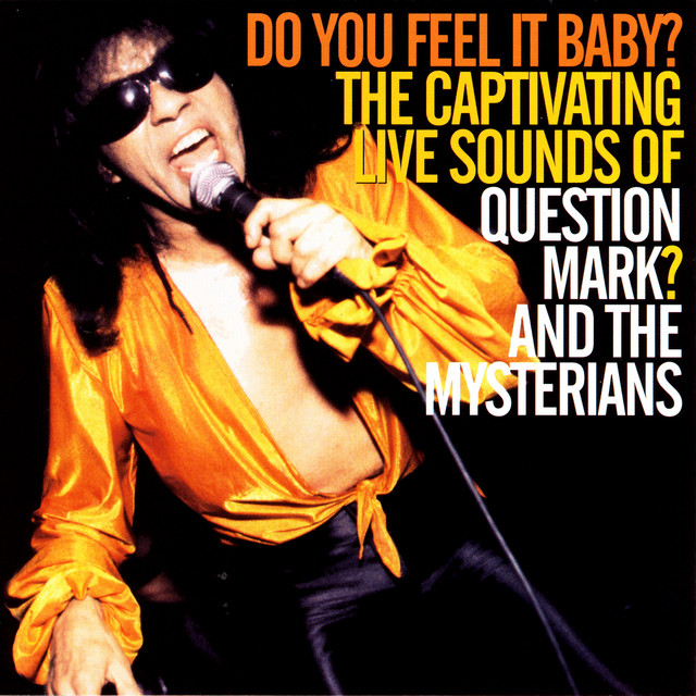 Do You Feel It Baby? album cover