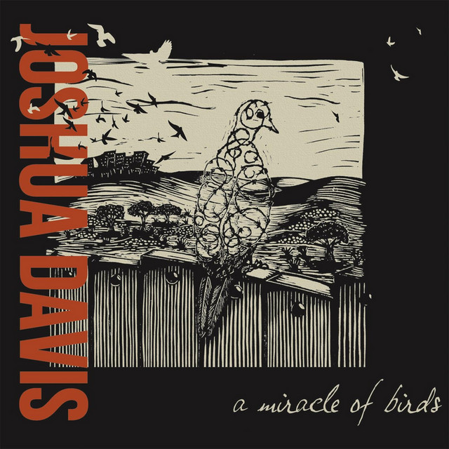A Miracle of Birds album cover