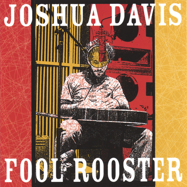 Fool Rooster album cover