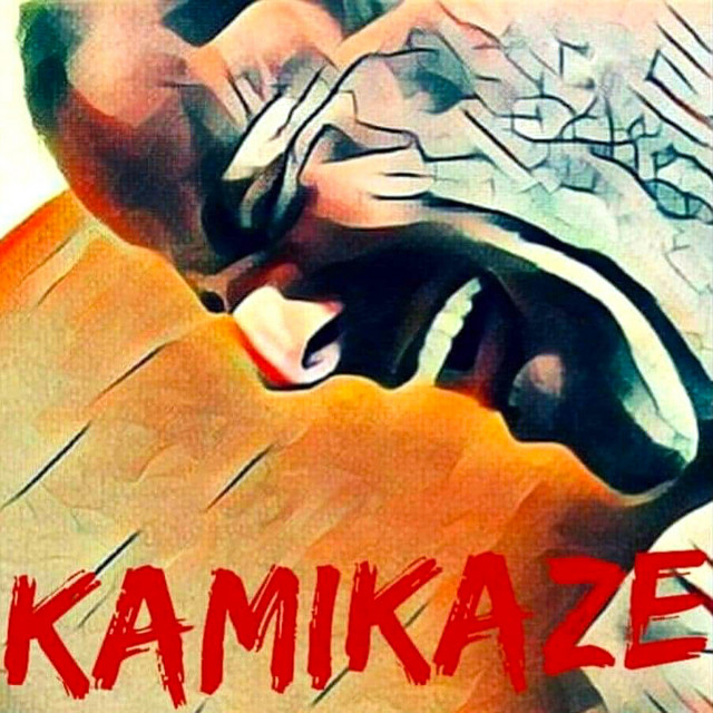 Kamikaze album cover