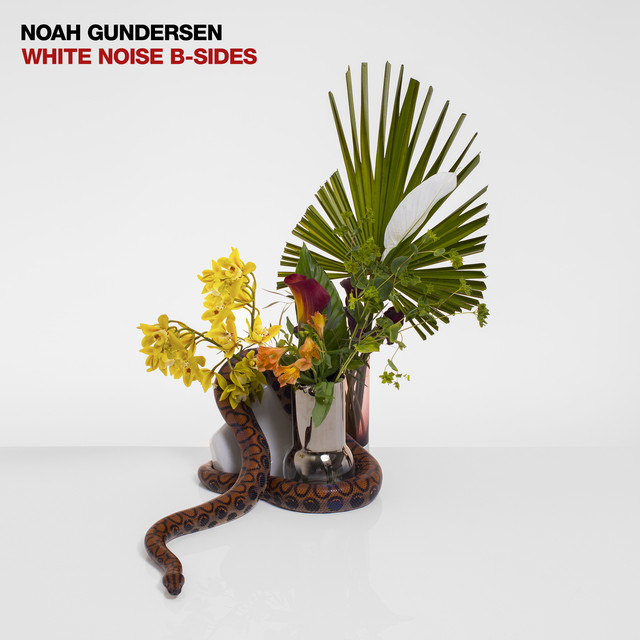 WHITE NOISE B-SIDES album cover