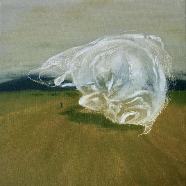 Sleep Comes Then I Wake album cover