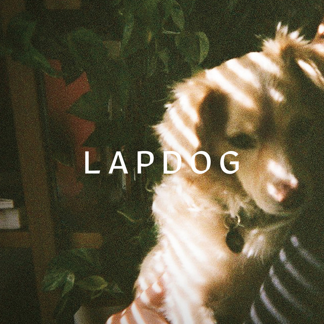 LAPDOG album cover