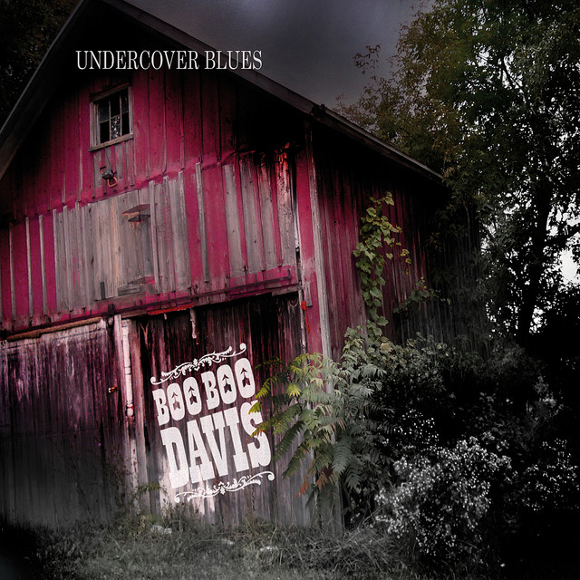 Undercover Blues album cover