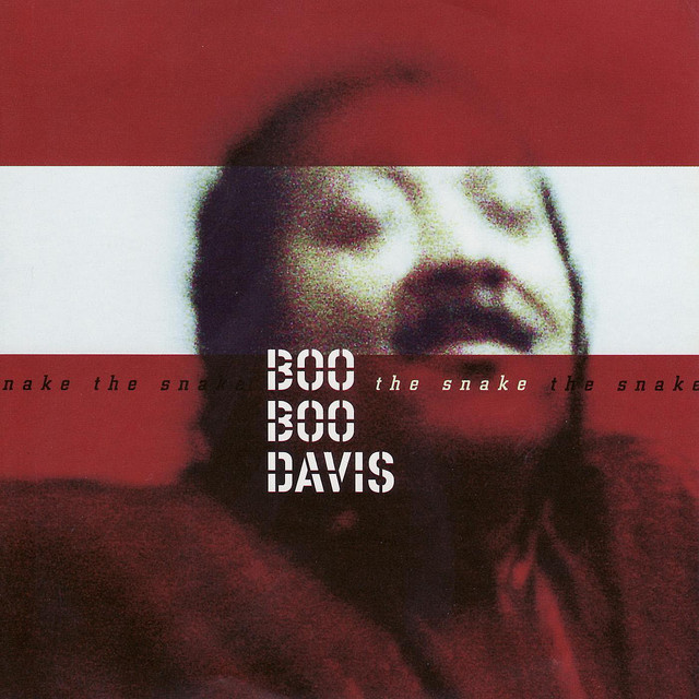The Snake album cover