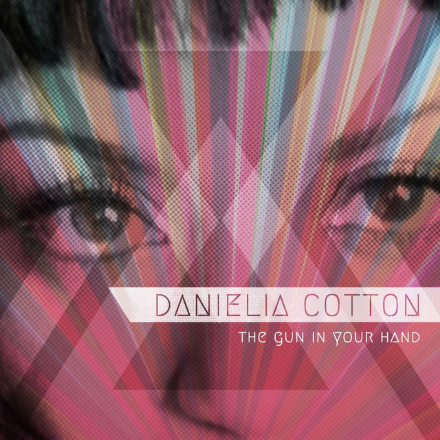 The Gun in Your Hand album cover