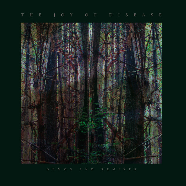 The Joy If Disease (Demos and Remixes) album cover