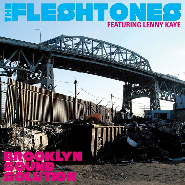 Brooklyn Sound Solution (feat. Lenny Kaye) album cover