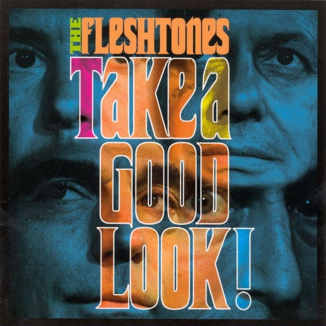 Take a Good Look! album cover