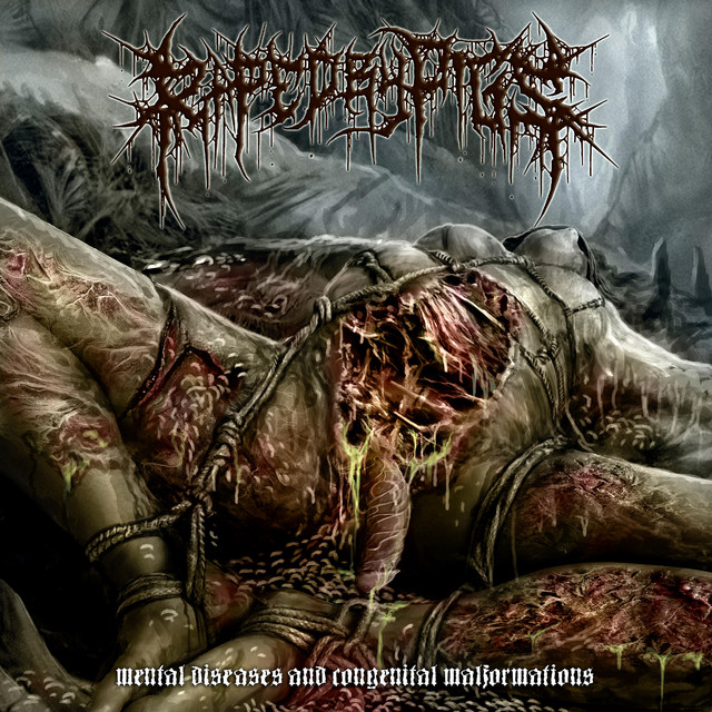 Mental Diseases and Congenital Malformations album cover