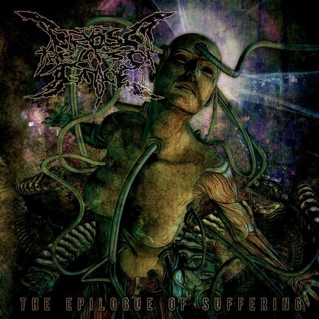 The Epilogue Of Suffering album cover