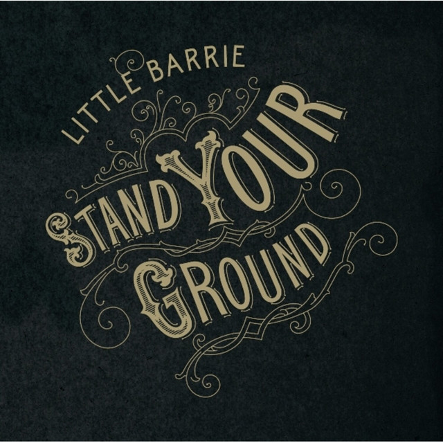 Fender Jazzmaster as heard on Stand Your Ground by Little Barrie (2007)