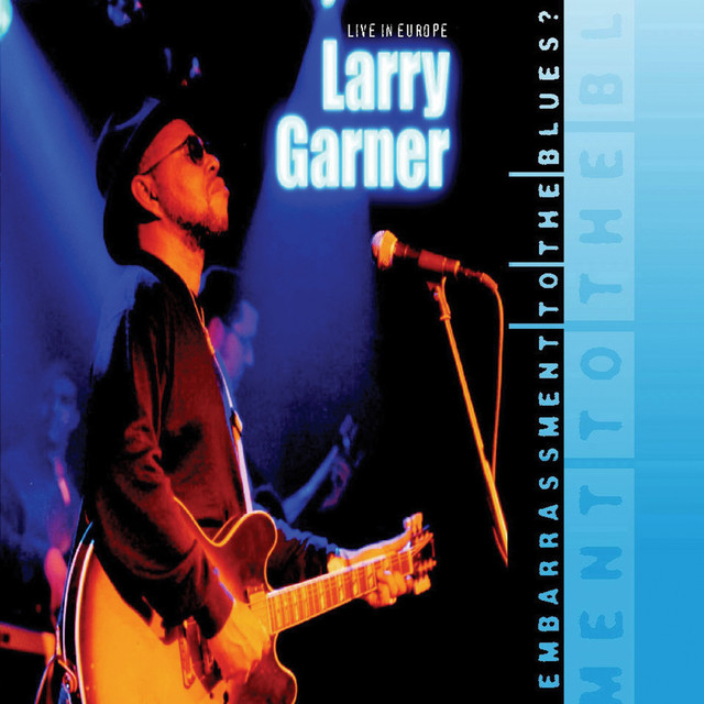 Embarrassment to the Blues? album cover