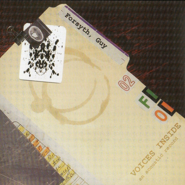 Voices Inside album cover