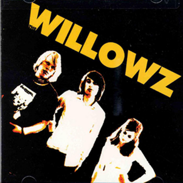 The Willowz album cover