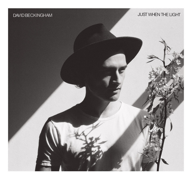 Just When the Light album cover