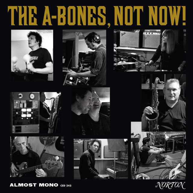 Not Now! album cover
