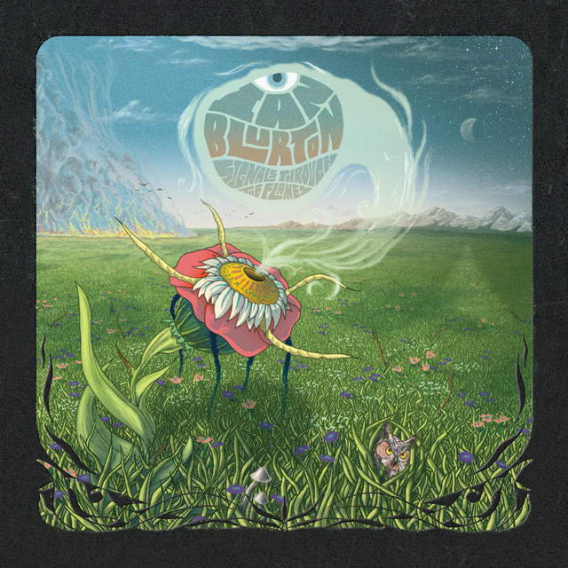 Signals Through the Flames album cover