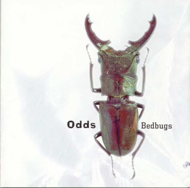 Bedbugs album cover