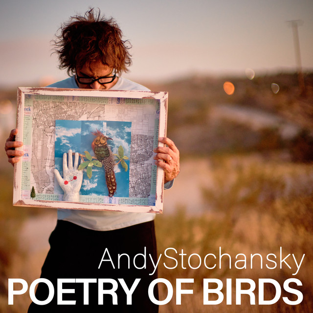 Poetry of Birds album cover