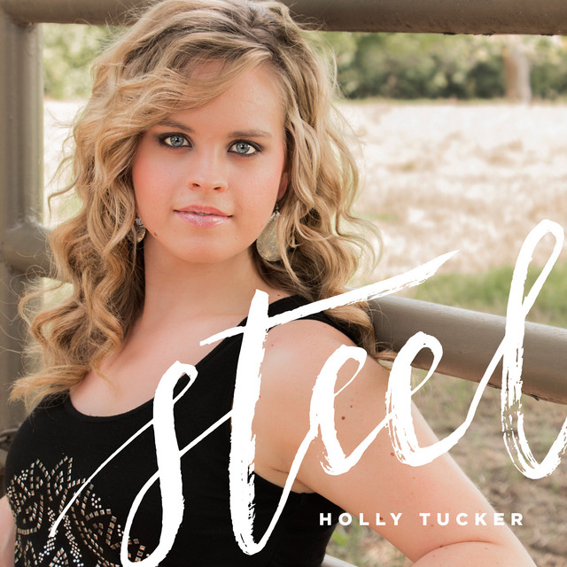 Steel album cover