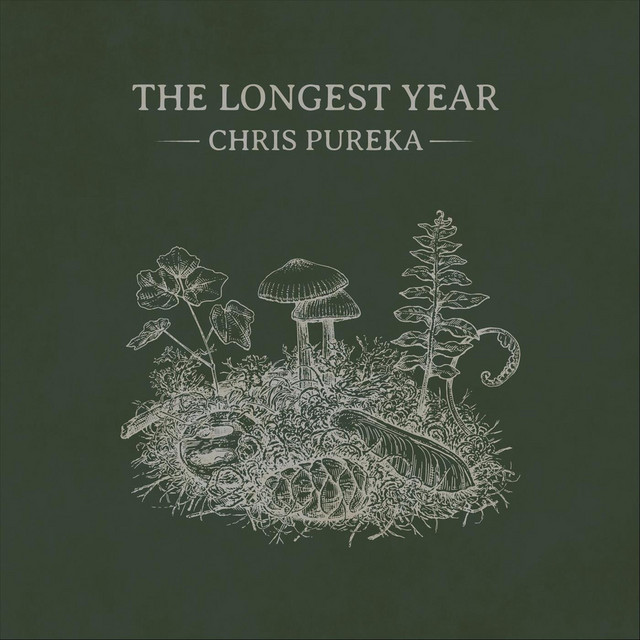 The Longest Year album cover