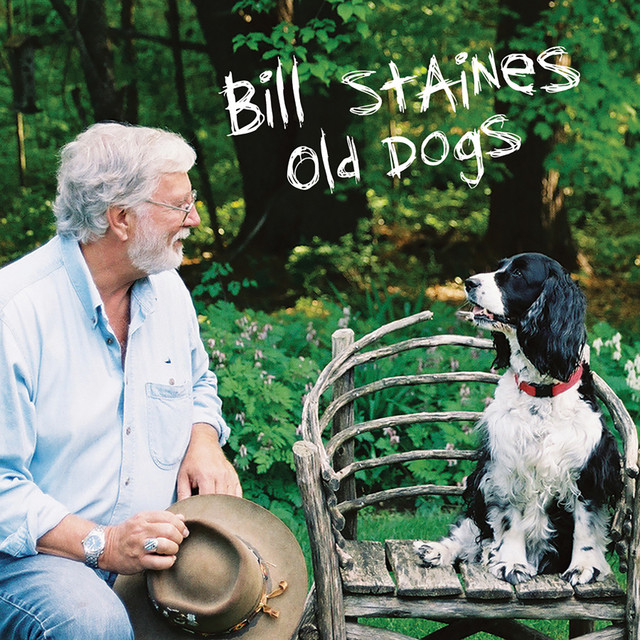 Old Dogs album cover