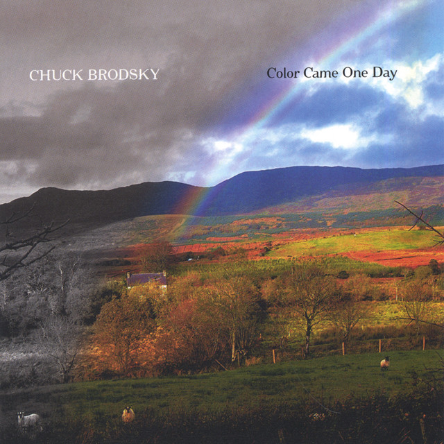 Color Came One Day album cover