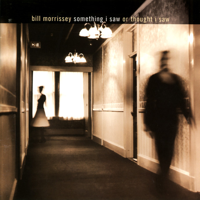 Something I Saw Or Thought I Saw album cover