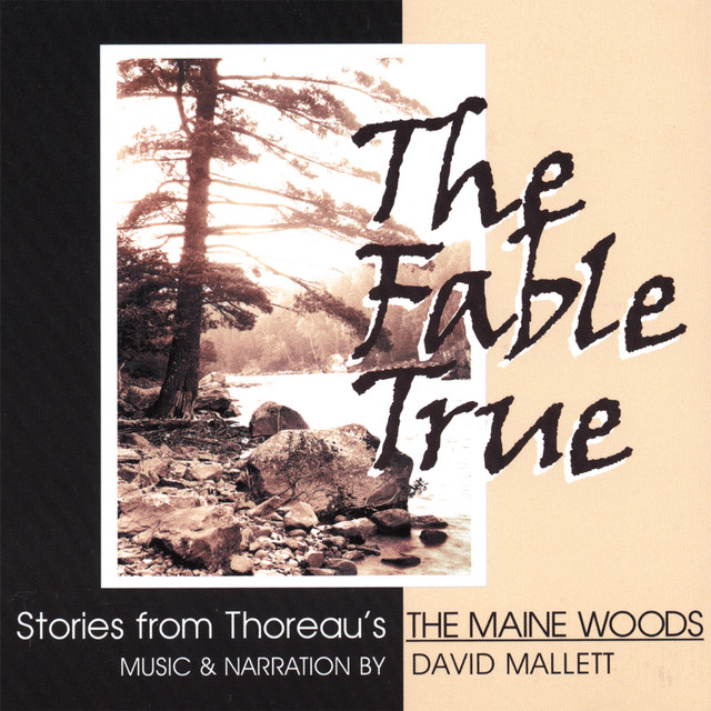 The Fable True album cover