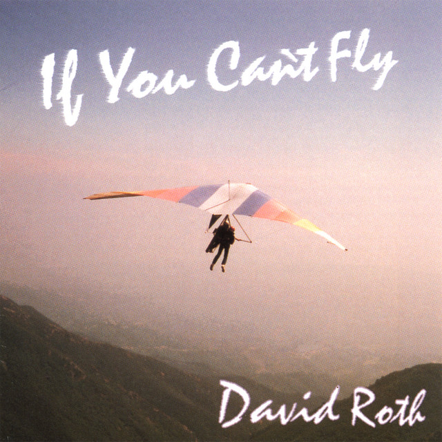 If You Can't Fly album cover
