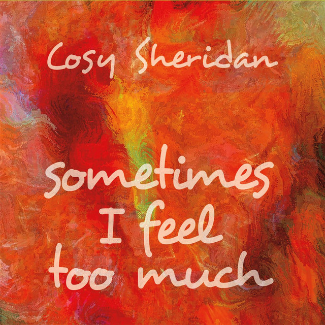 Sometimes I Feel Too Much album cover