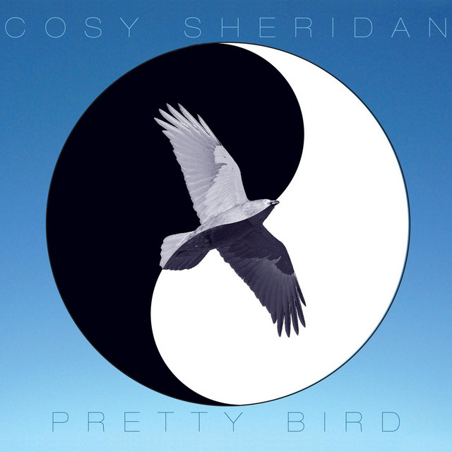 Pretty Bird album cover