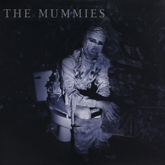 The Mummies Members, Gear & Sound | Equipboard
