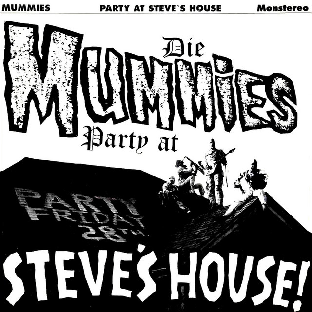 Party at Steve's House album cover