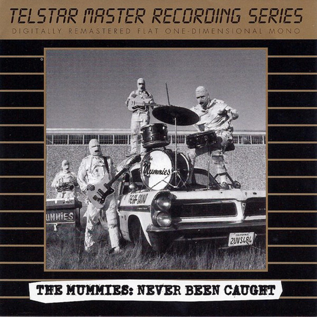 Never Been Caught album cover