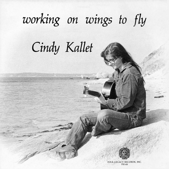 Working on Wings to Fly album cover