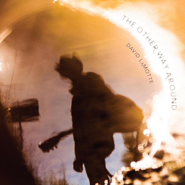 The Other Way Around album cover