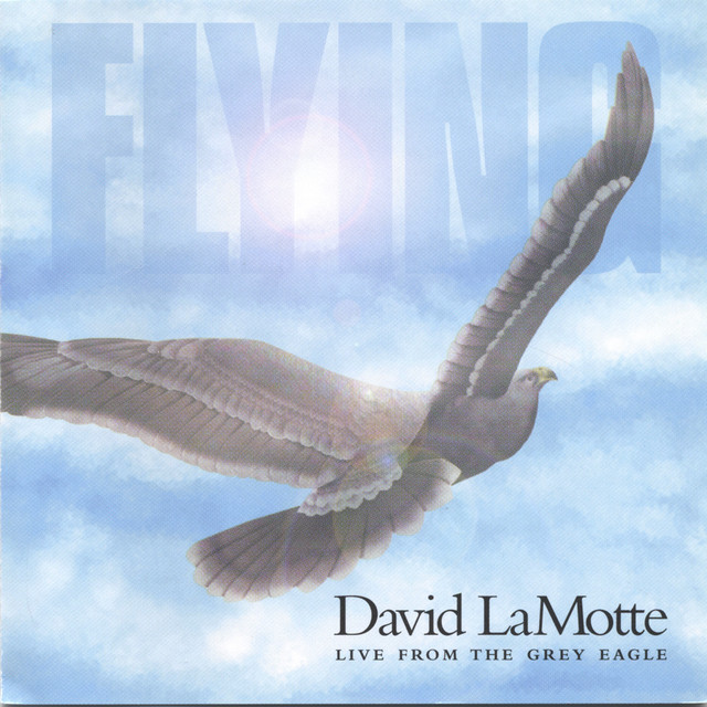 Flying: Live From the Grey Eagle album cover
