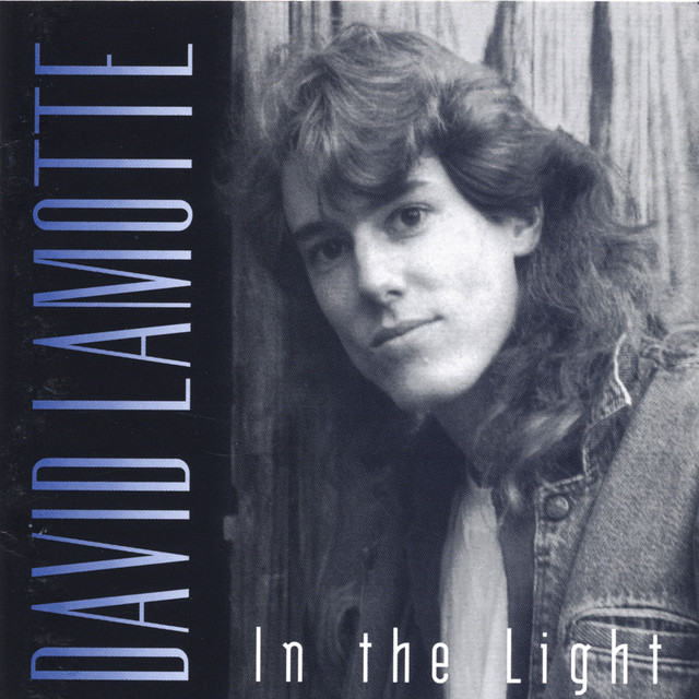 In the Light album cover