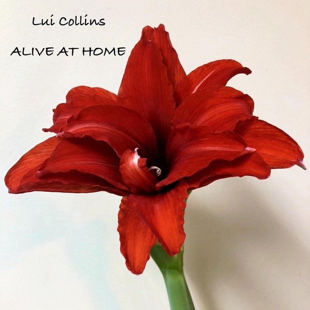 Alive at Home (Live) album cover