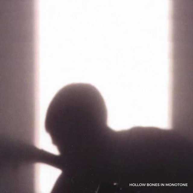Hollow Bones In Monotone album cover