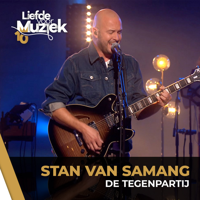Hagström Viking Electric Guitar as heard on De Tegenpartij (Uit Liefde Voor Muziek) by Stan Van Samang (2024)