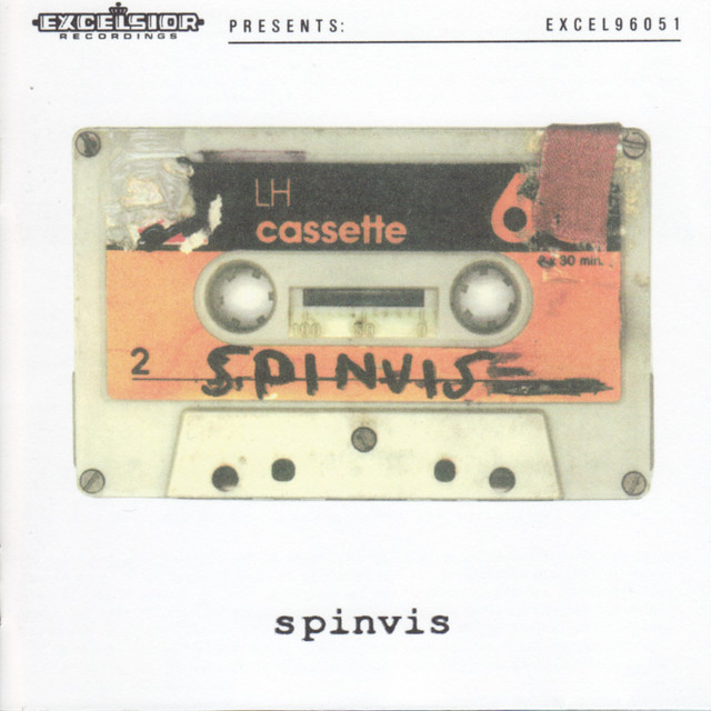 Spinvis album cover
