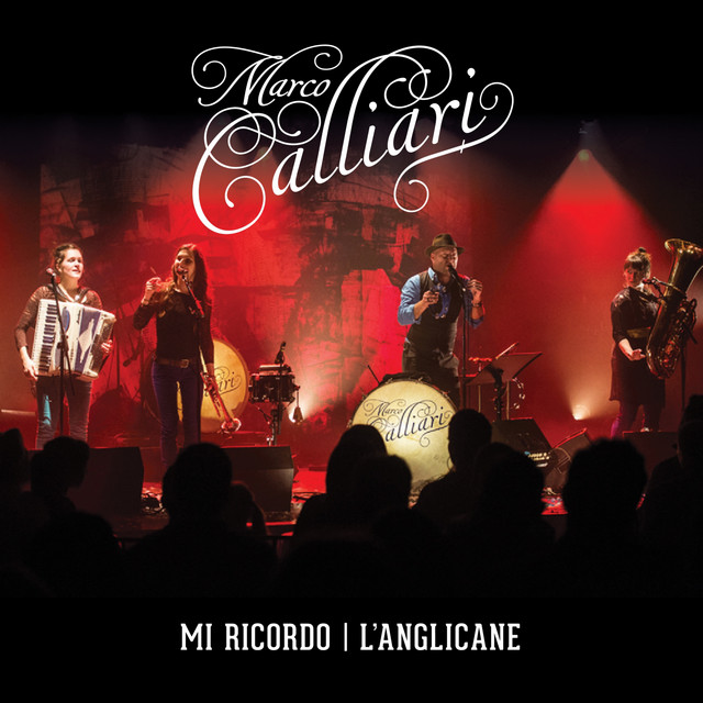 Mi ricordo / L'anglicane (Live) album cover