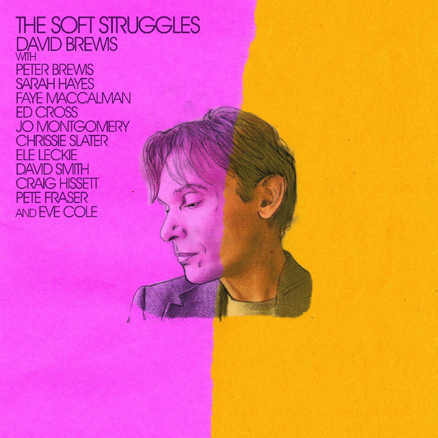 The Soft Struggles album cover