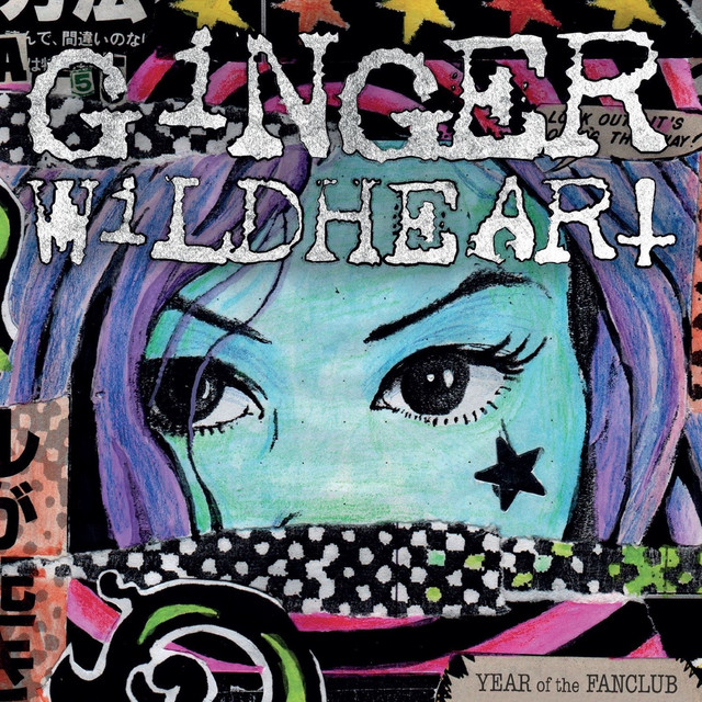 The Year Of The Fanclub album cover