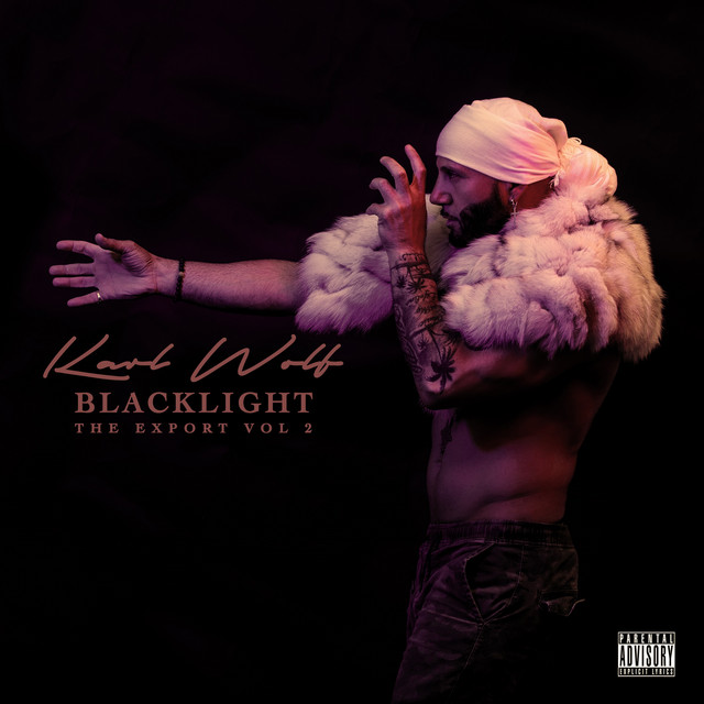 Blacklight: Export Vol. 2 album cover