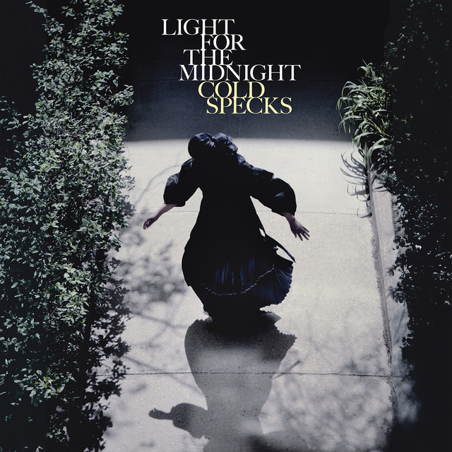 Light for the Midnight album cover